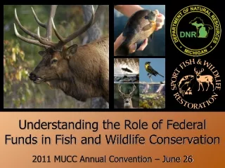 Understanding the Role of Federal Funds in Fish and Wildlife Conservation