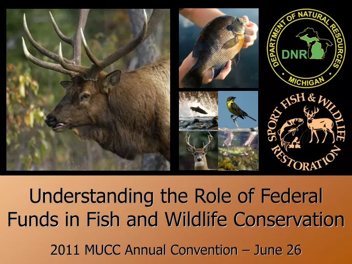 understanding the role of federal funds in fish and wildlife conservation