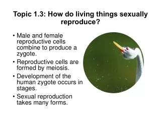 Topic 1.3: How do living things sexually reproduce?