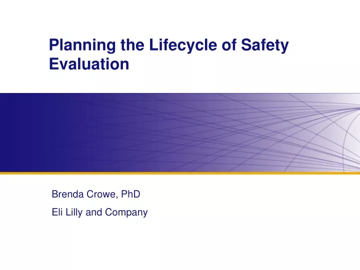 planning the lifecycle of safety evaluation