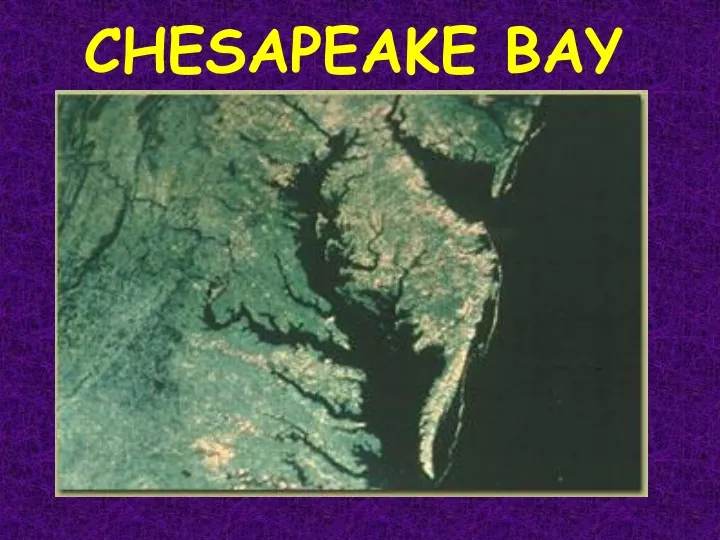 chesapeake bay