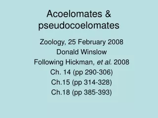 Acoelomates &amp; pseudocoelomates