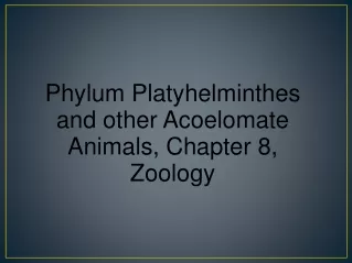 Phylum Platyhelminthes and other Acoelomate Animals, Chapter 8, Zoology