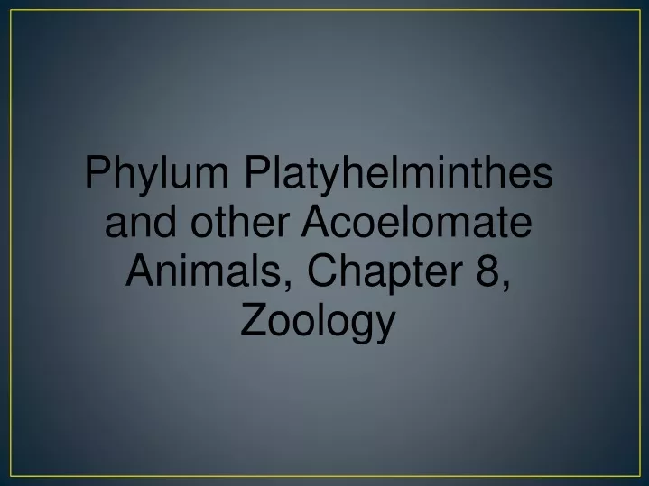 phylum platyhelminthes and other acoelomate