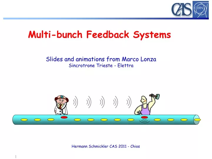 multi bunch feedback systems