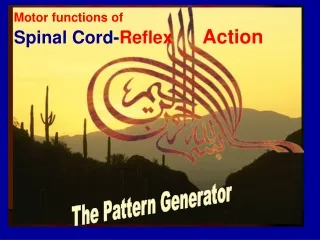 Motor functions of Spinal Cord- Reflex       Action