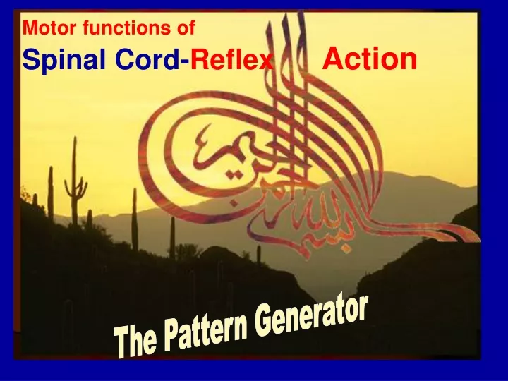 motor functions of spinal cord reflex action