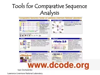Tools for Comparative Sequence Analysis