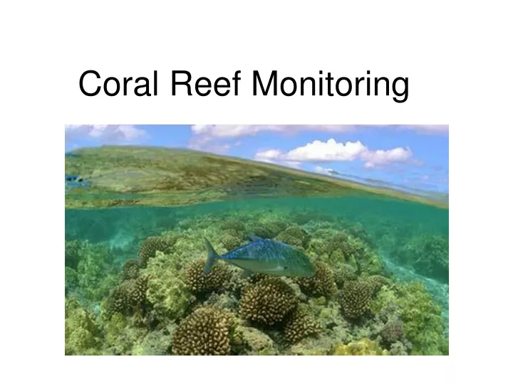 coral reef monitoring