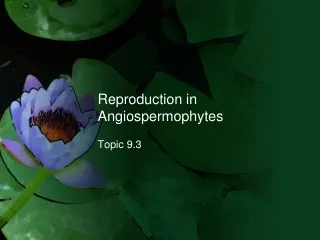 Reproduction in Angiospermophytes