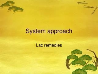 System  approach