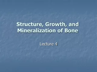 Structure, Growth, and Mineralization of Bone