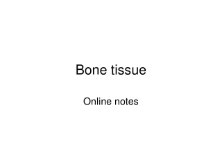 Bone tissue