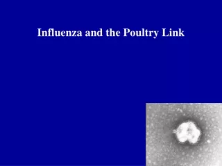 Influenza and the Poultry Link