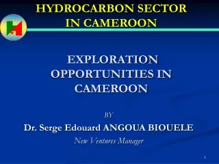 HYDROCARBON SECTOR  IN CAMEROON  EXPLORATION OPPORTUNITIES IN CAMEROON