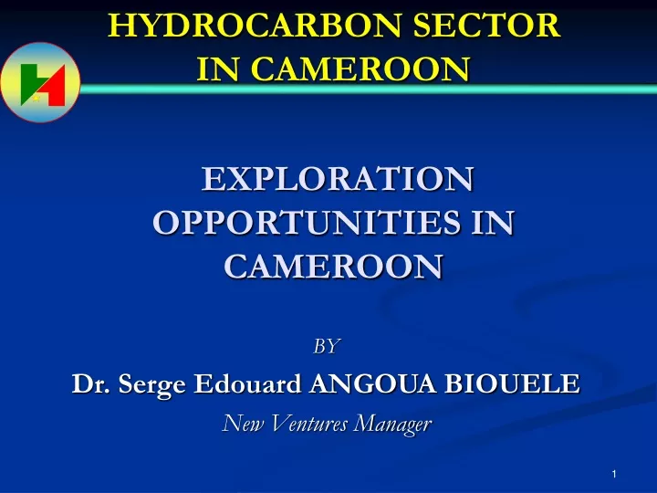 hydrocarbon sector in cameroon exploration