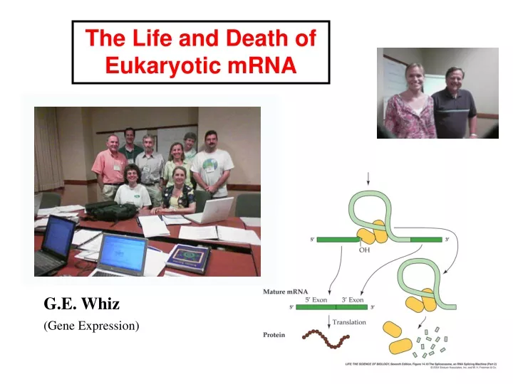 the life and death of eukaryotic mrna