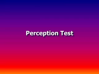 Perception Test