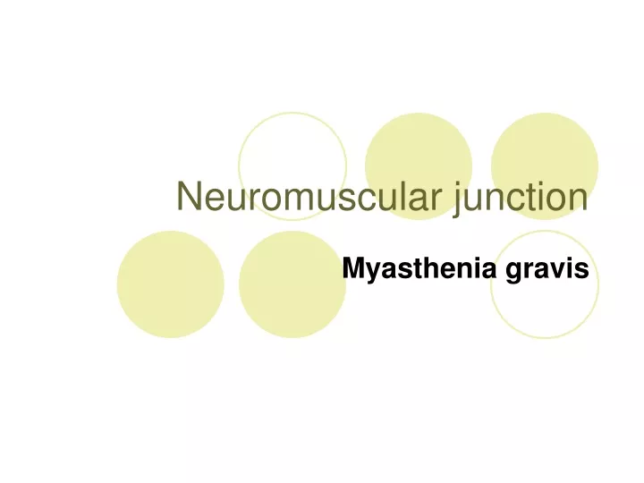 neuromuscular junction