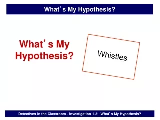 What ’ s My Hypothesis?
