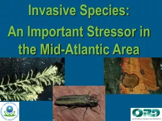 Invasive Species:  An Important Stressor in the Mid-Atlantic Area