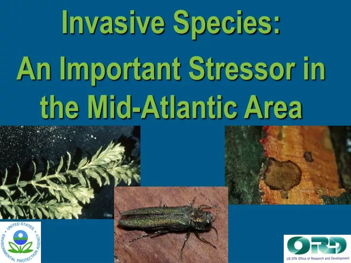 invasive species an important stressor