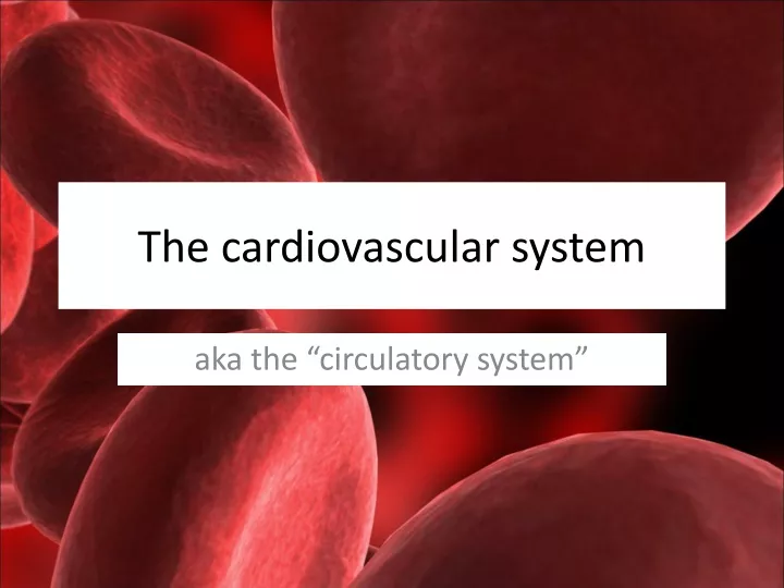 the cardiovascular system