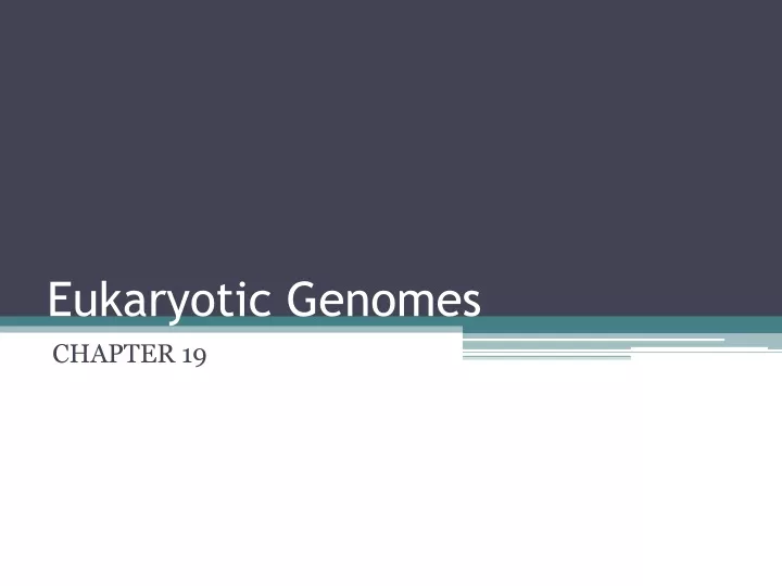 eukaryotic genomes