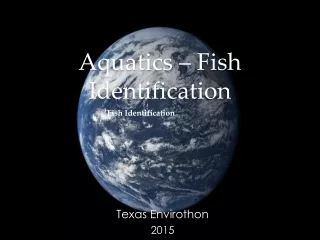 Aquatics – Fish Identification