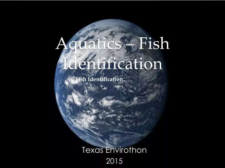 aquatics fish identification