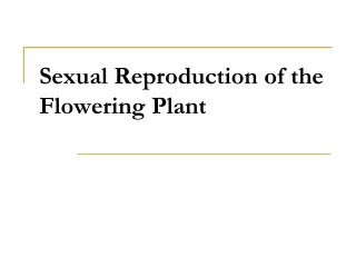 Sexual Reproduction of the Flowering Plant