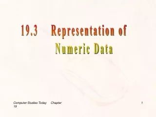 19.3    Representation of             Numeric Data