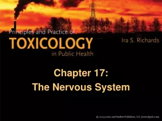 Chapter 17: The Nervous System
