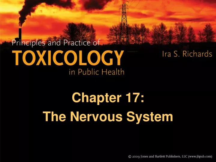 chapter 17 the nervous system