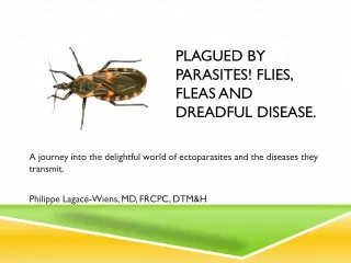 Plagued by parasites! Flies, fleas and dreadful disease.