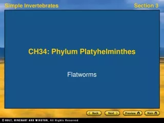CH34: Phylum Platyhelminthes