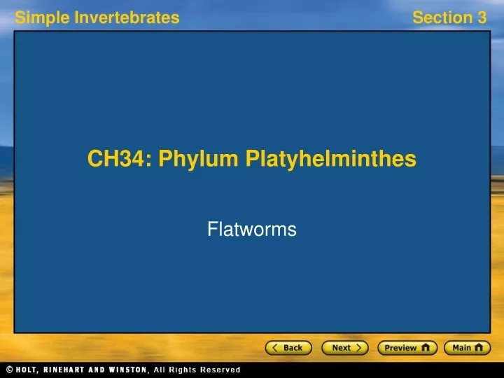 ch34 phylum platyhelminthes