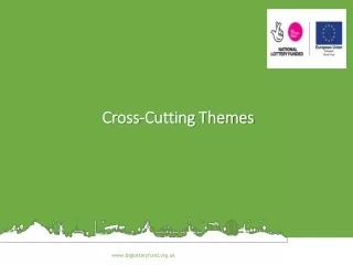 Cross-Cutting Themes
