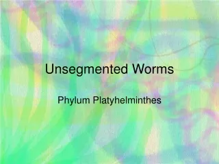 Unsegmented Worms