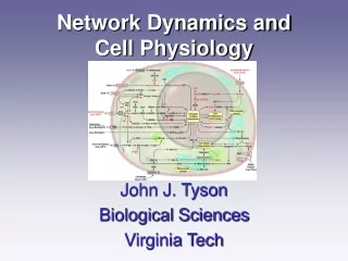 Network Dynamics and Cell Physiology