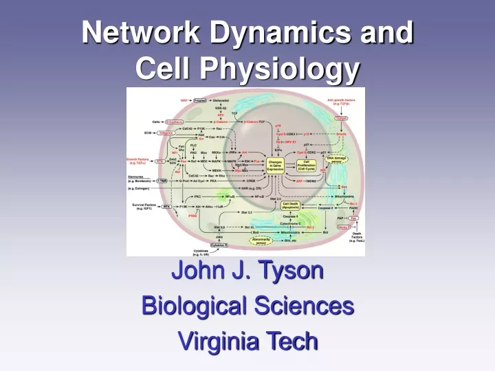 network dynamics and cell physiology