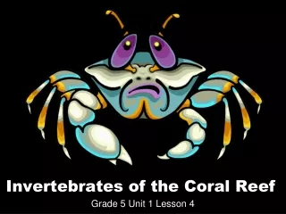 Invertebrates of the Coral Reef