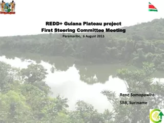 REDD+ Guiana Plateau project First Steering Committee Meeting Paramaribo,  6 August 2013