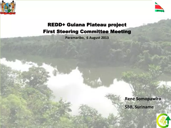 redd guiana plateau project first steering