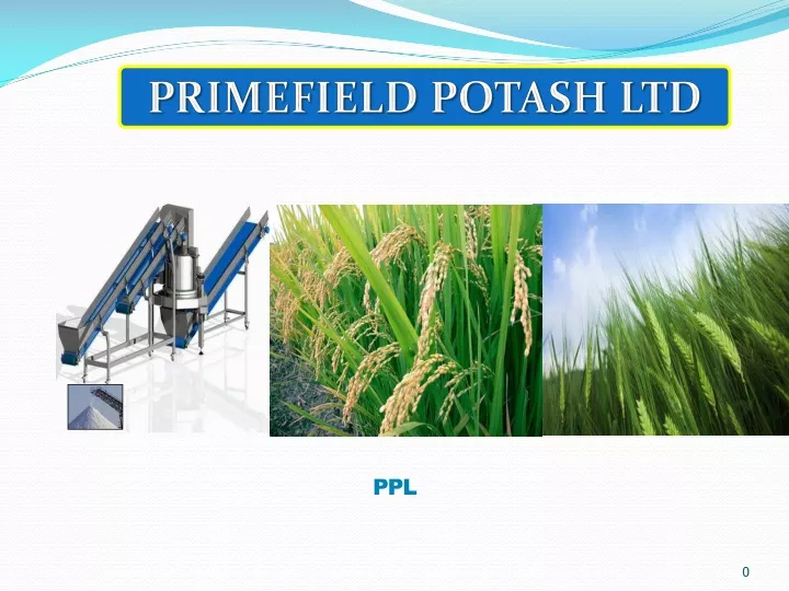 primefield potash ltd