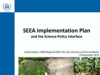 SEEA Implementation Plan and the Science-Policy Interface