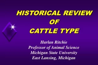 HISTORICAL REVIEW OF CATTLE TYPE