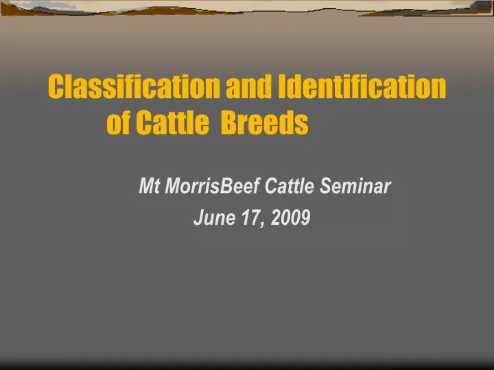 classification and identification of cattle breeds