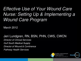 Effective Use of Your Wound Care Nurse: Setting Up &amp; Implementing a Wound Care Program
