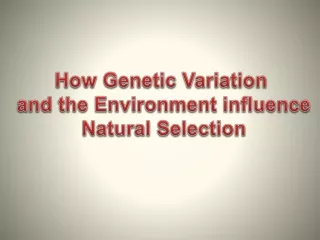 How Genetic Variation  and the Environment influence  Natural Selection